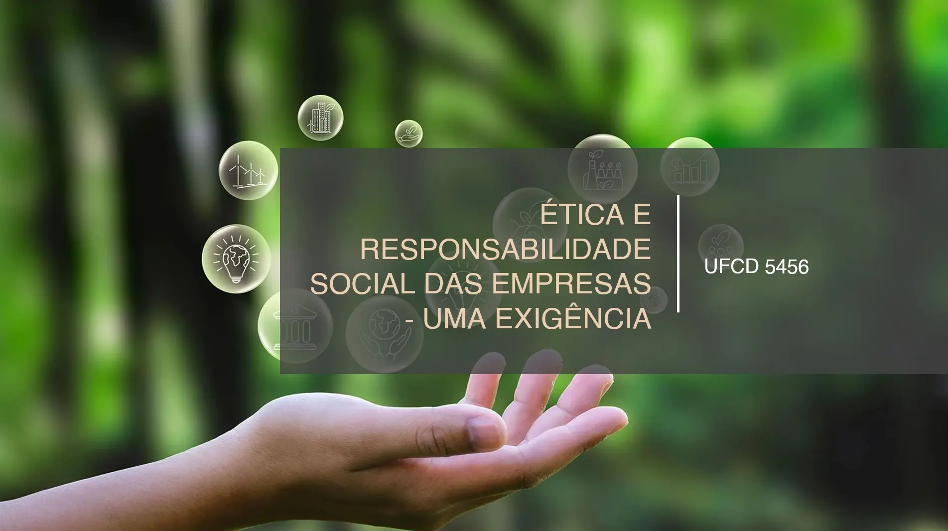 PPT UFCD 5456