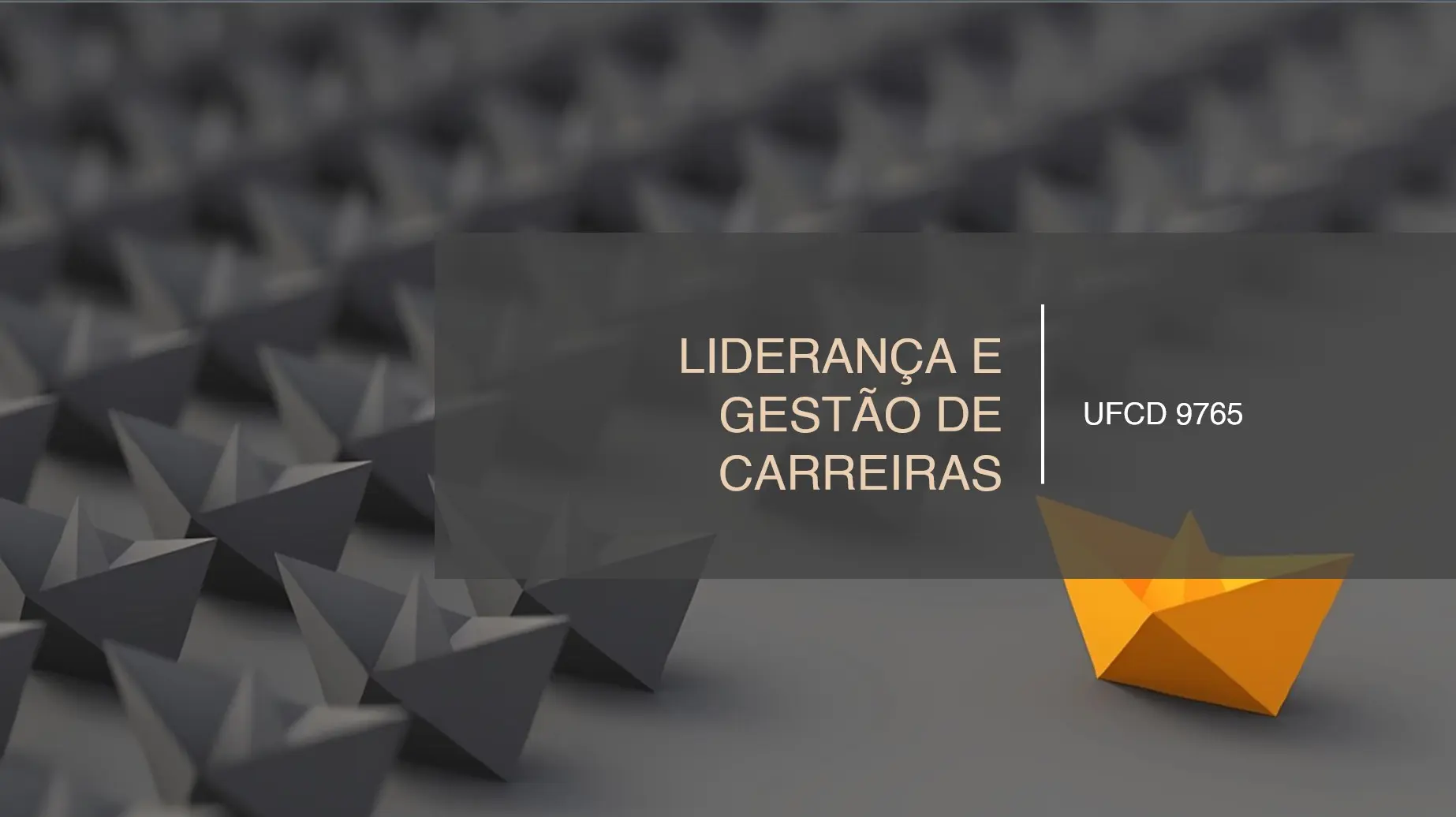 PPT UFCD 9765